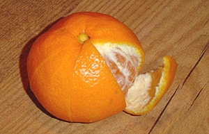 تزیین پرتقال, تزیین پرتقال, گل با پرتقال, پرتقال ,تزیینپرتقال به شکل گل ,تزئین پرتقال, تزیین, میوه آرایی, سبزی ارایی, سفره آرایی ,تزیینات سفره