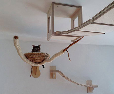 طراحی خانه گربه, مبلمان برای گربه