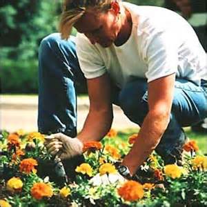 آموزش باغبانی در فصل بهار, آموزش باغبانی, باغبانی