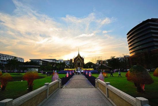 دانشگاه تایلند،تایلند،درخت،درخت رنگی،گردشگری تایلند،گردشگری جهان