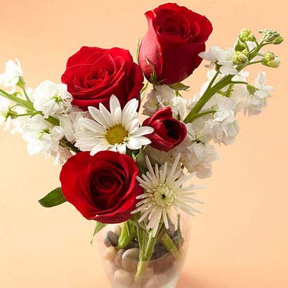کسی که دوستش داریم،چه گلی بخریم،زبان گل ها،گل،دسته گل زیبا،رز قرمز،پیئونی صورتی،بابونه سفید،لاله قرمز،میخک قرمز،آفتابگردان،گل مینای ارغوانی،داوودی سفید،روابط عاطفی