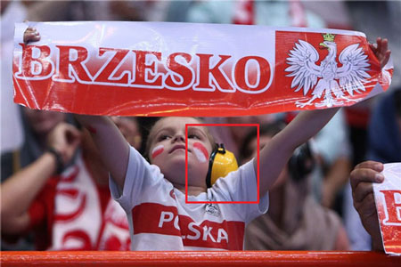 اخبار,اخبارورزشی ,حرکت جالب لهستانی ها در آزادی
