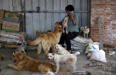 زن چینی قهرمان سگ‌های بی پناه+تصاویر