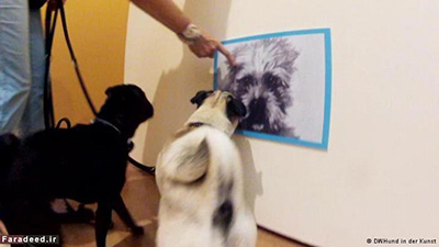 اخبار,اخبار وناگون,نقاشی برای سگ‌ها