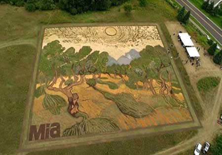 اخبار,اخبارگوناگون  ,نقاشی معروف جهان روی زمین کشاورزی