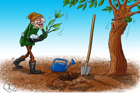درختکاری, کاریکاتور در مورد درختکاری