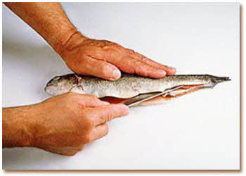 آموزش پاک کردن ماهی قزل آلا
